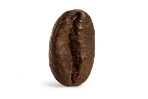 Hạt cà phê Ethiopia (Hạt vùng Harrar)