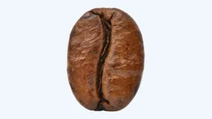 Hạt cà phê Arabica
