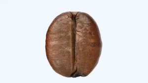 Hạt cà phê Robusta